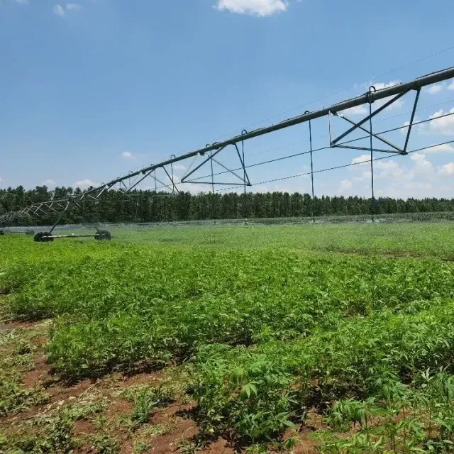thumbnail for publication: Impact of Climate Change on Florida's Soil Health